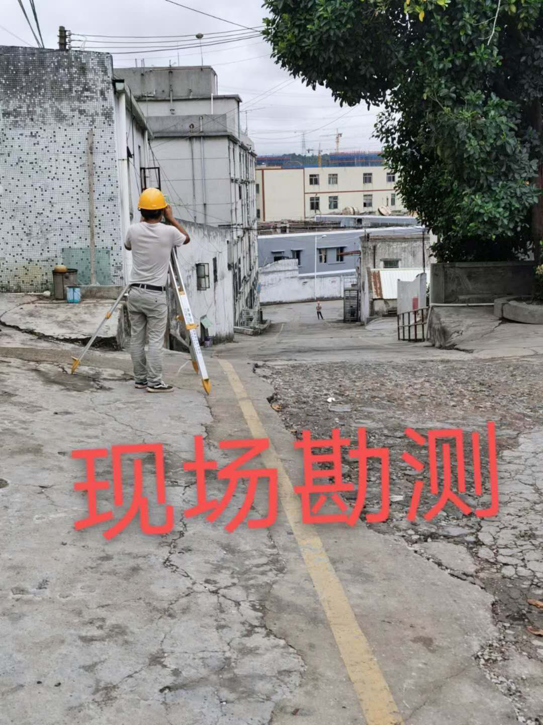 1598075594806464.png 1598075594806464.png