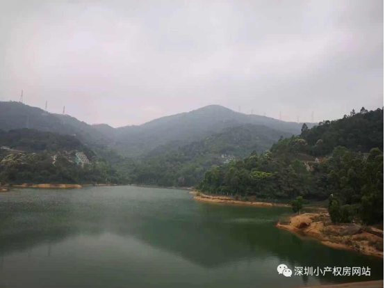 山水綠園一房一廳56平方，56.8萬/套起