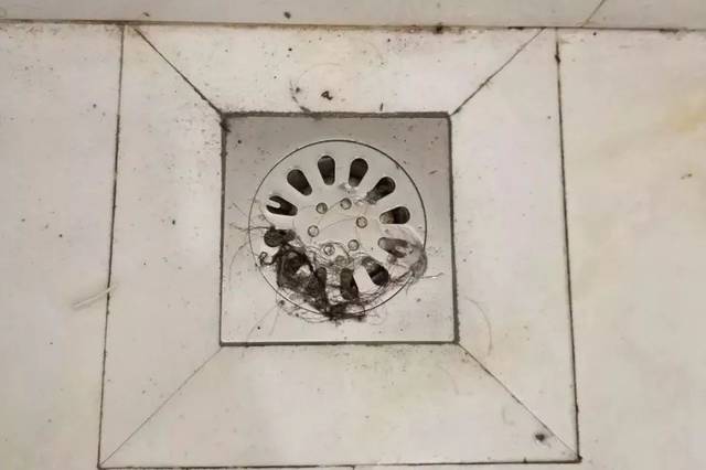 市面上比較常見(jiàn)的房子就是商品房和安置房