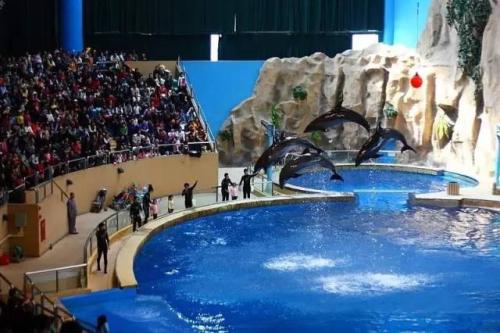 啟動勝利街解放北路棚戶區