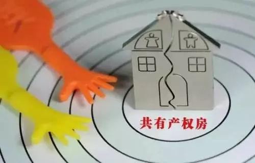 共有人約定不得分割共有的不動產或者動產