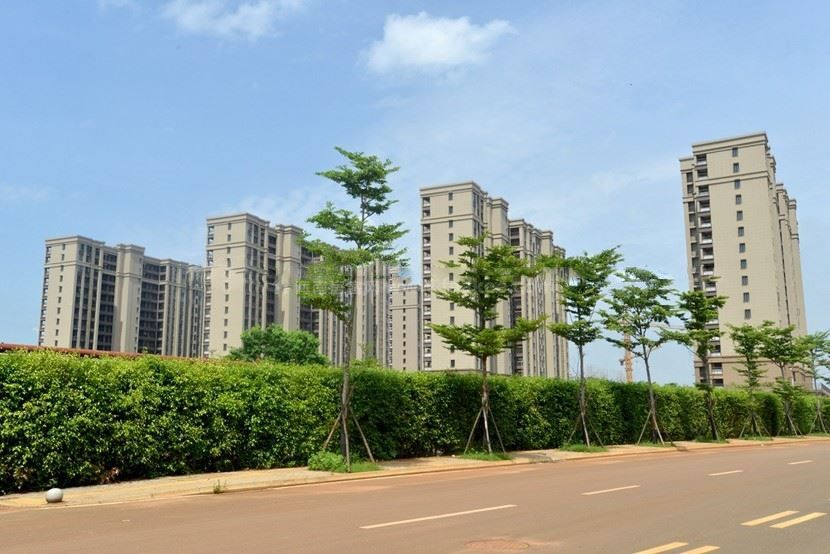 車(chē)陂村第一時(shí)間成立了由村公司黨員