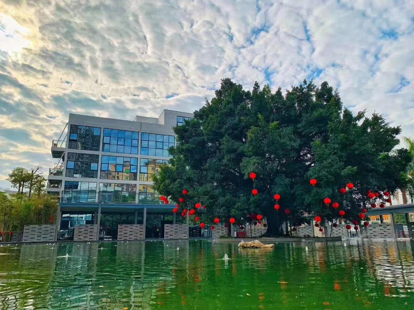 龍華區中心地段